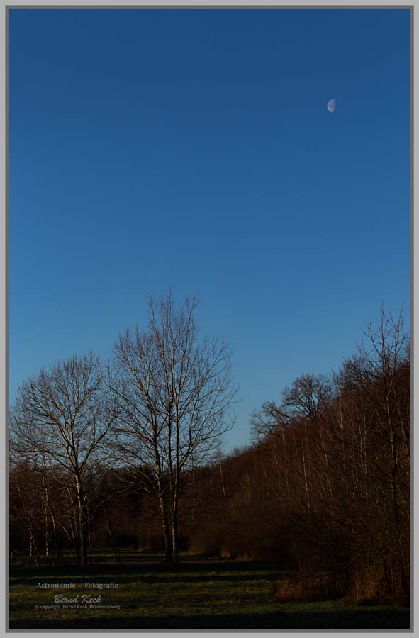 2020-01-16. Der Mond über dem Mascheroder Holz. Hier handelt es sich um ein Panorama aus vier Aufnahmen in zwei Zeilen. mit f 100mm, Hochformat, Freihandaufnahmen, Photoshop, Ränder beschnitten.