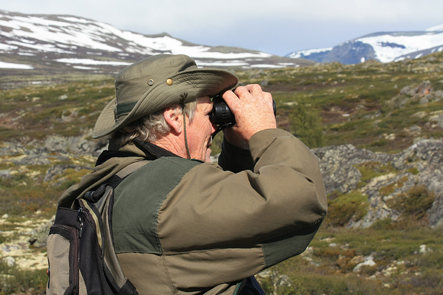 Dovrefjell Nationalpark, 2012, Exkursionsführer von Magalaupe Camping