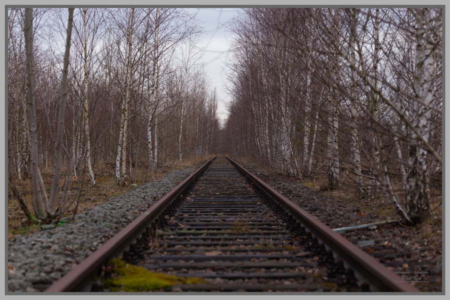 20. Februar 2020, Gleise ins Nirgendwo. Ein Zug ist hier schon lange nicht mehr gefahren.